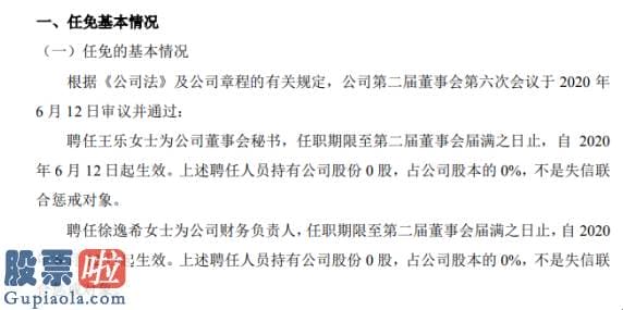 上市公司新闻 新实数码任命徐逸希为财务负责人不持有公司股份