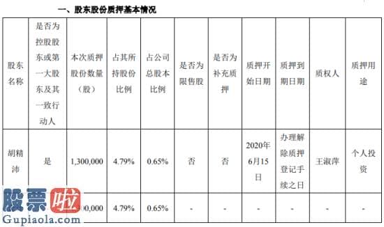 股票公司要闻：万里石股东胡精沛质押130万股用于个人投资