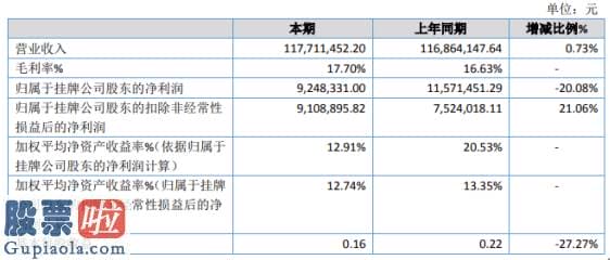 中国股市新闻网_新农人2019年净利924.83万下滑20.08%借款利息花费增加