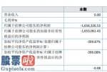 中国股市新闻头条-社忧网络2019年亏损165.63万亏损减少营业成本大幅减少