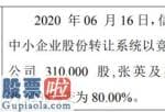 股市新闻头条新闻 互邦电力股东张英增持31万股一致行动人持股比例合计为80%