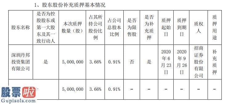 查上市公司资讯-丹邦科技控股股东丹邦投资集团质押500万股用于补充质押