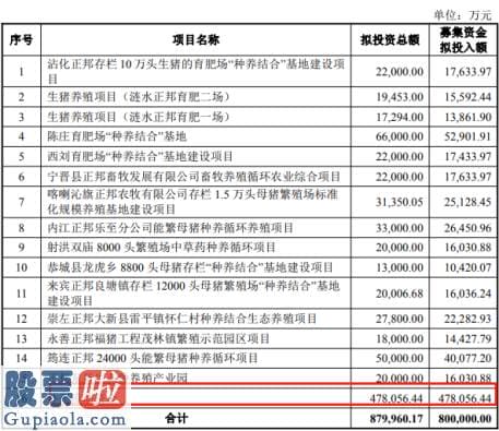 最近股市新闻-正邦科技锁价定增80亿元60%用于补充流动资金  引入战投布局广西雄心勃勃