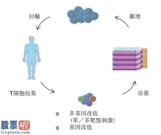 上市公司资讯 永泰生物凭什么成“细胞免疫医治第一股”？