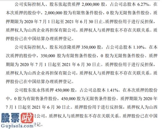 今天股市新闻 智林股份6名股东合计质押600万股用于进行反担保