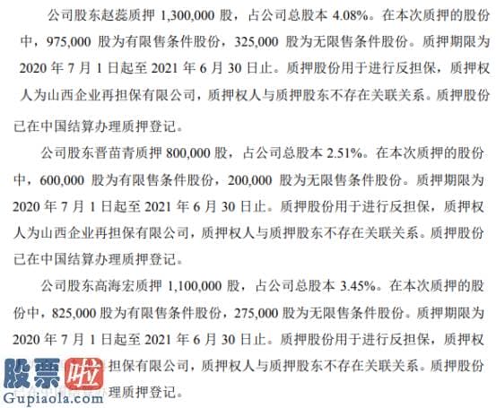 今天股市新闻 智林股份6名股东合计质押600万股用于进行反担保