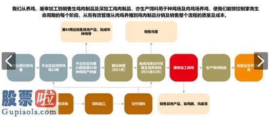 股市新闻直播 IPO实录|凤祥股份（09977）:2B、2C双轮驱动，高盈利增速仍将延续