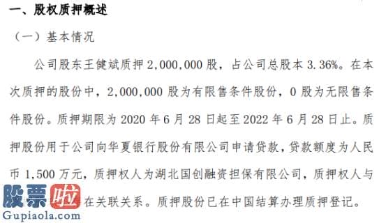 新兴产业率上市公司新闻 璟泓科技股东王健斌质押200万股用于申请贷款