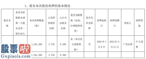 股市新闻-电声股份股东黄勇质押128.43万股用于个人消费