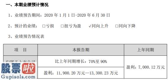 中国上市公司资讯网首页：双一科技2020年上半年估计净利1.19亿元