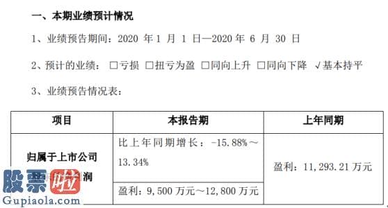 今日股市新闻头条新闻：中来股份2020年上半年估计净利9500万元