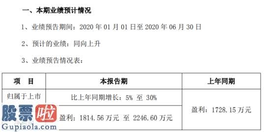 股票上市公司新闻-恒锋信息2020年上半年估计净利1814.56万元