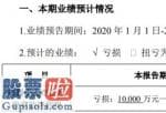 股市新闻头条新闻：盾安环境2020年上半年估计亏损1亿元