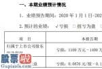 中国上市公司资讯网_力盛赛车2020年上半年估计亏损1100万元至1400万元汽车推广活动取消