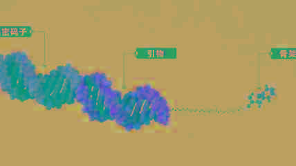 今日股市新闻_7月20日“全景云调研”走进成都先导：探秘药物发觉领域