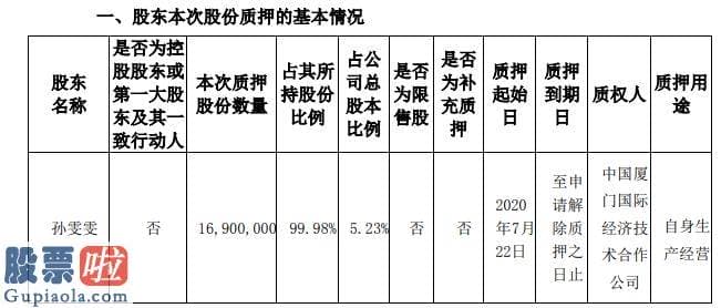 上市公司新闻-罗平锌电股东孙雯雯质押1690万股用于自身生产经营