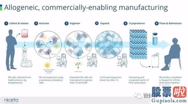 美股回a股 投资者赎回：细胞疗法企业Nkarta美国上市：涨166% 市值14亿美元