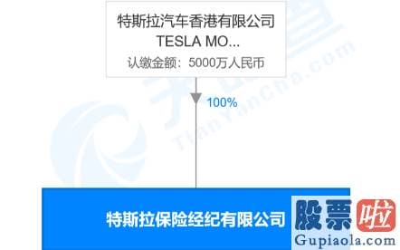 美股 机构投资者占比：刚刚抢注了一张保险经纪牌照 特斯拉想干嘛？