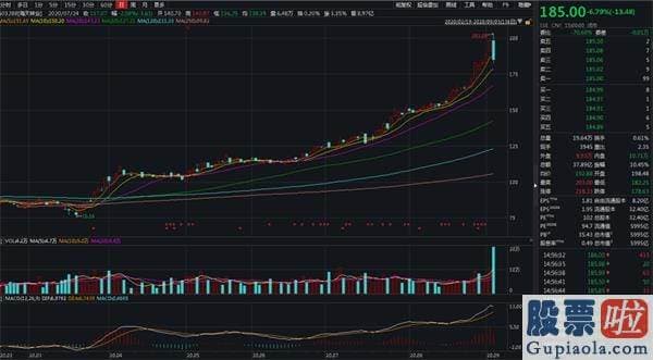 股市分析预测师的收入 年内超500只股票创新高 牛市特征尽显 食品饮料成新高股“聚合营”