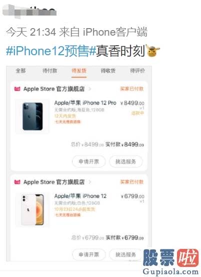 国内投资公司可以买美股 iPhone 12被抢疯了！官网“崩溃” 网友：一边说支持国产 一边把苹果买崩了