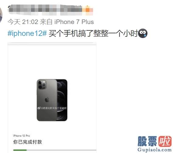 国内投资公司可以买美股 iPhone 12被抢疯了！官网“崩溃” 网友：一边说支持国产 一边把苹果买崩了