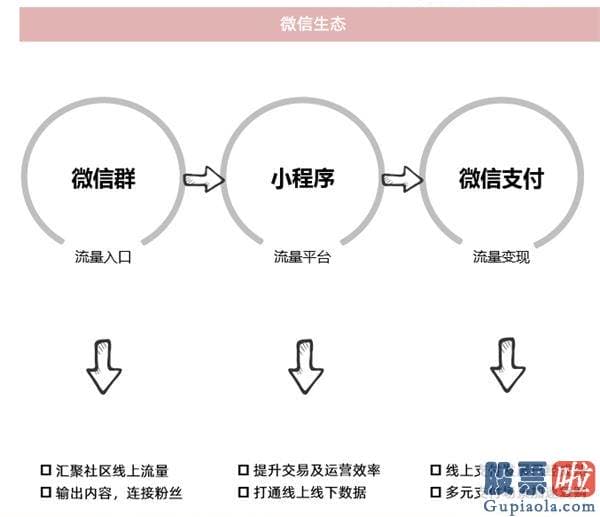 投资美股 限制 正面PK！美团和拼多多谁会赢在下个风口？