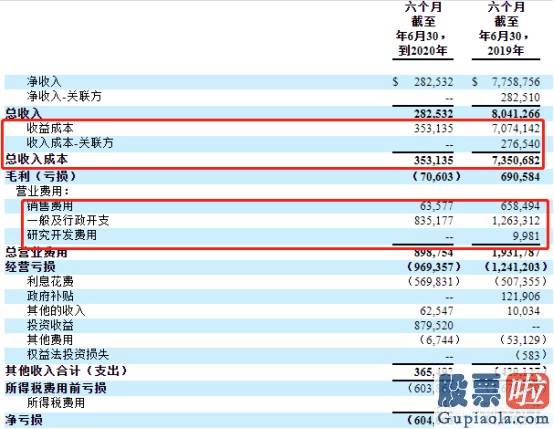 美股对外国人投资限制_宠物经济发展蓝海一片，可天地荟(PETZ.US)交出营收下滑超9成的中期“成果单”