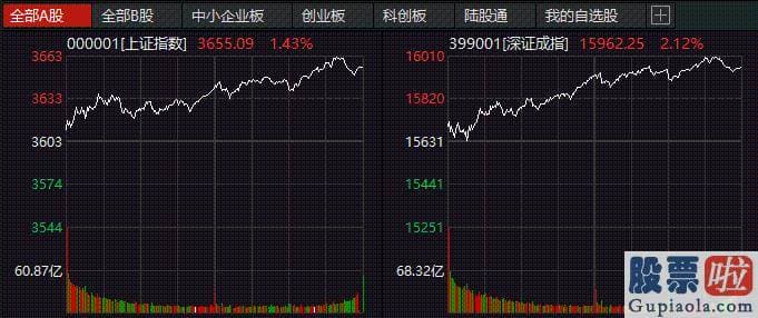 股市预测分析师陈建平照片：其实很多版块的龙头上涨幅度并不小