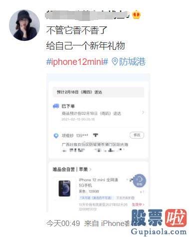 美股投资者结构：在iPhone 