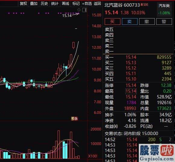 股票行情预测分析2020-4000亿牧原一度暴涨超7%