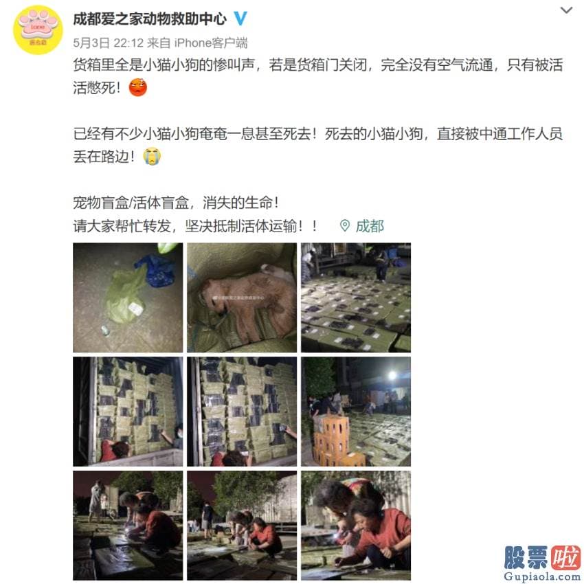 投资美股最少多少股吗 成都爱之家动物救助中心志愿者拦截下一辆中通快递运输车