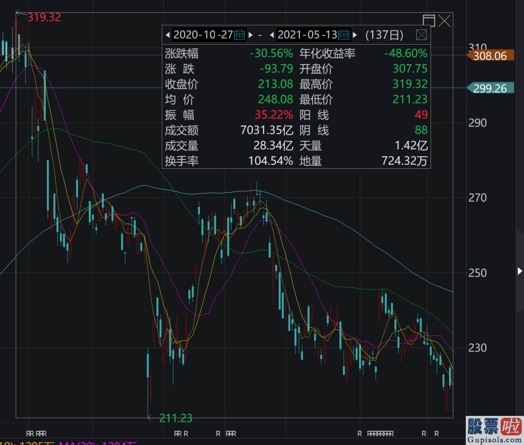 境内个人如何投资美股：172.89亿元