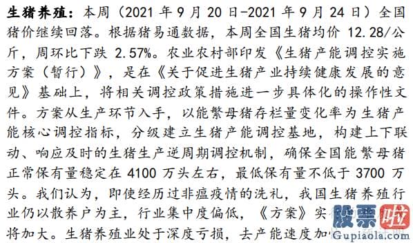 中国股市分析预测师-版块轮动加剧背景之下