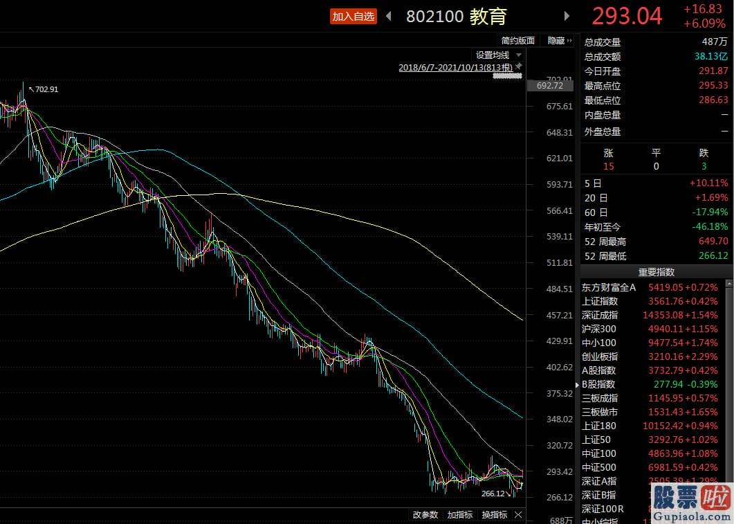 2020股票行情分析预测 一个更为值得关心的信息是