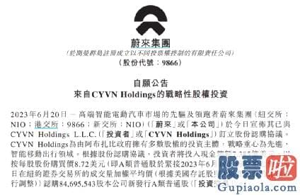 最具投资潜力的美股 CYVN 