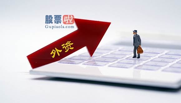 股票公司要闻：宝鹰股份(002047.SZ)：聘任金红英为公司董事会秘书